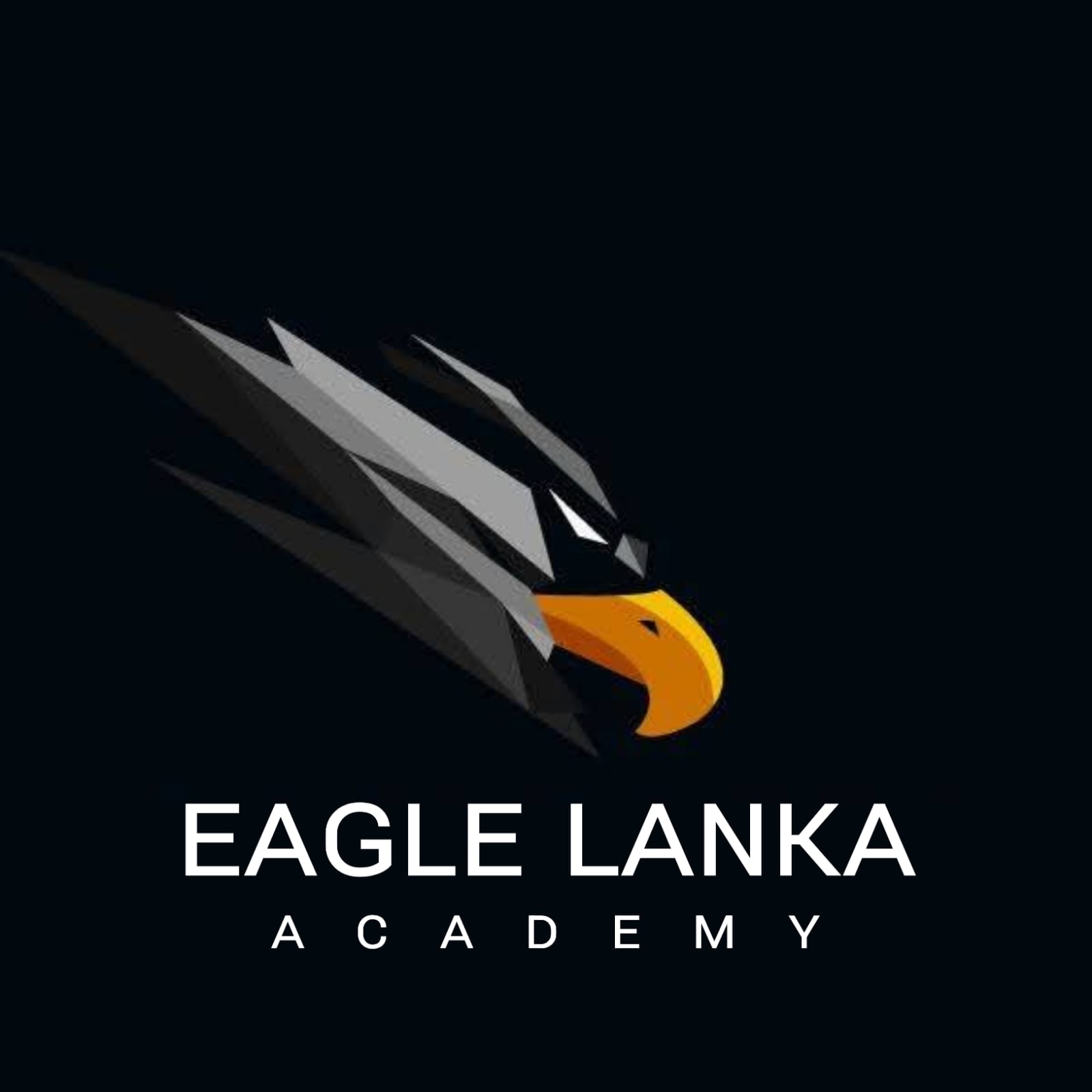 Academy Logo