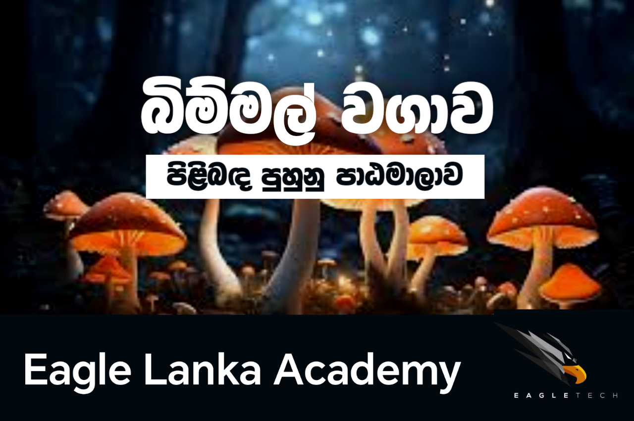 බිම්මල් වගාව පුහුණු පාඨමාලාව 