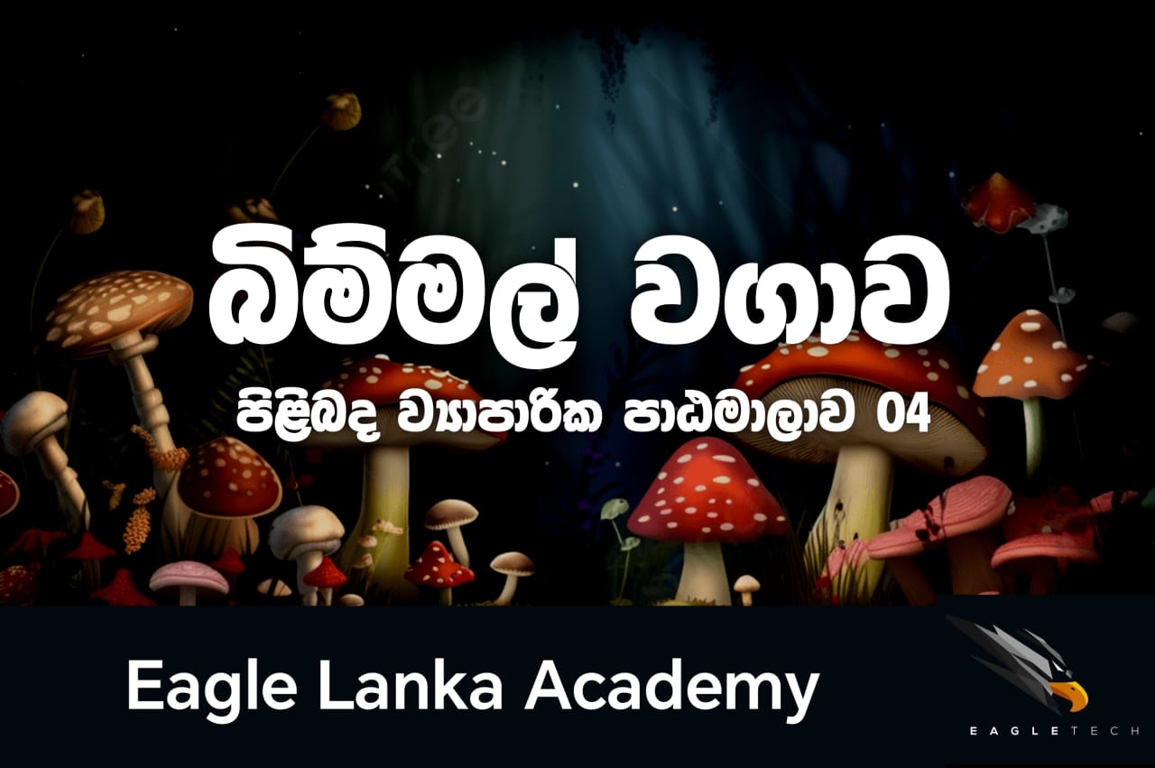 බිම්මල් වගාව ව්‍යාපාරික පුහුණු පාඨමාලාව B4